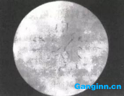 熱軋鋼坯及大型鍛件白點 熱軋鋼坯及大型鍛件白點